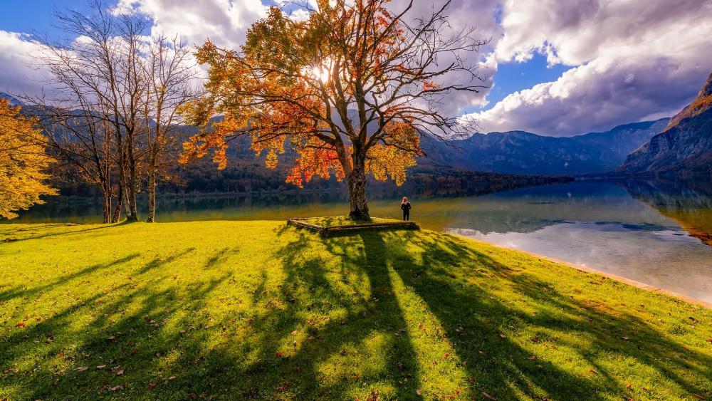 Autumn Serenity by the Lake wallpaper