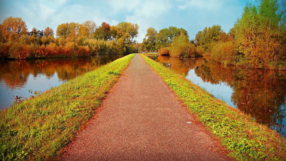 Serene Pathway Through Autumn Reflections wallpaper