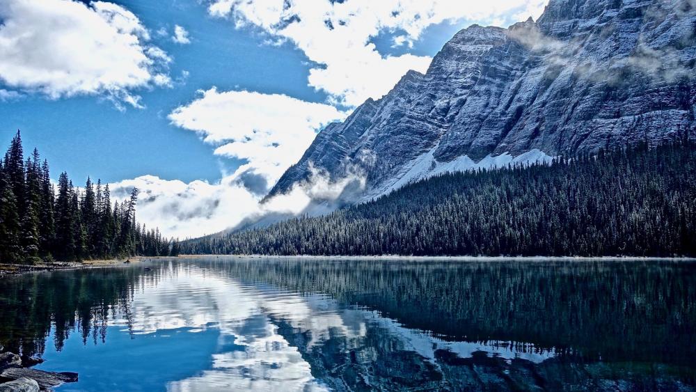 Majestic Reflections of Nature's Beauty wallpaper