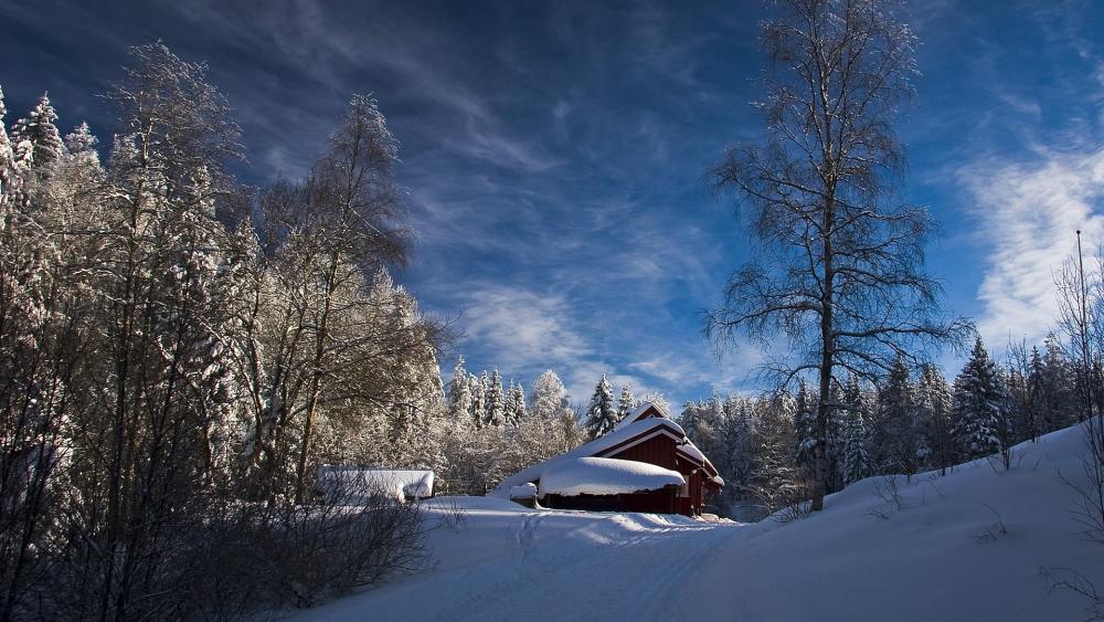 Winter Wonderland with Rustic Cabin and Snowy Trees wallpaper
