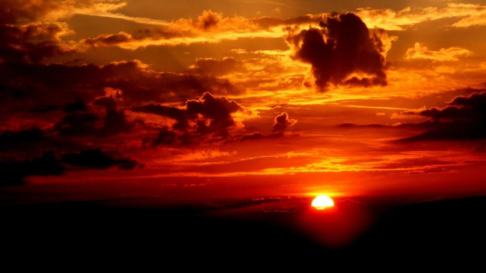 Wallpaper from nature category