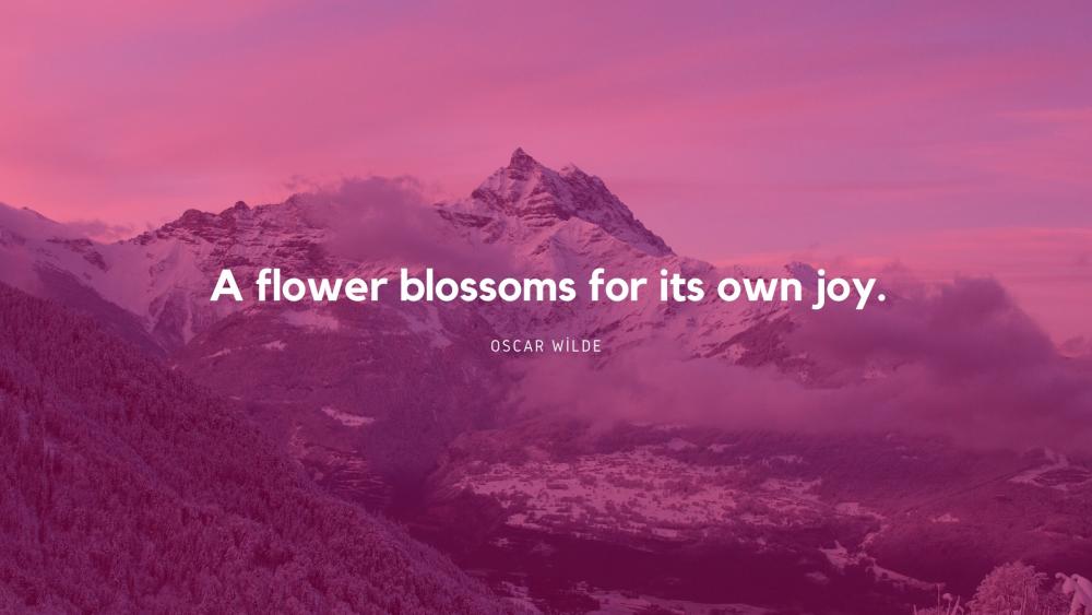 A flower blossoms for its own joy wallpaper