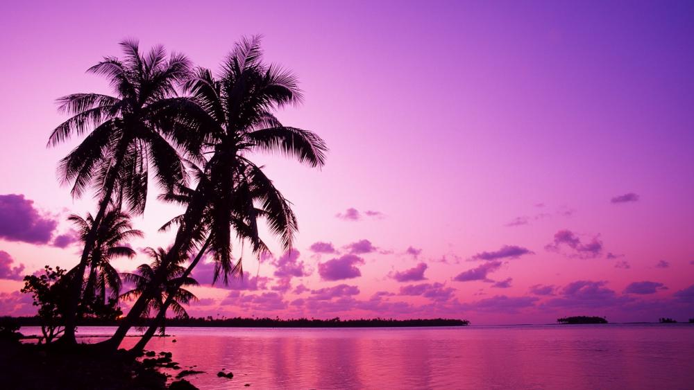 Purple Sunset over Serene Waters wallpaper
