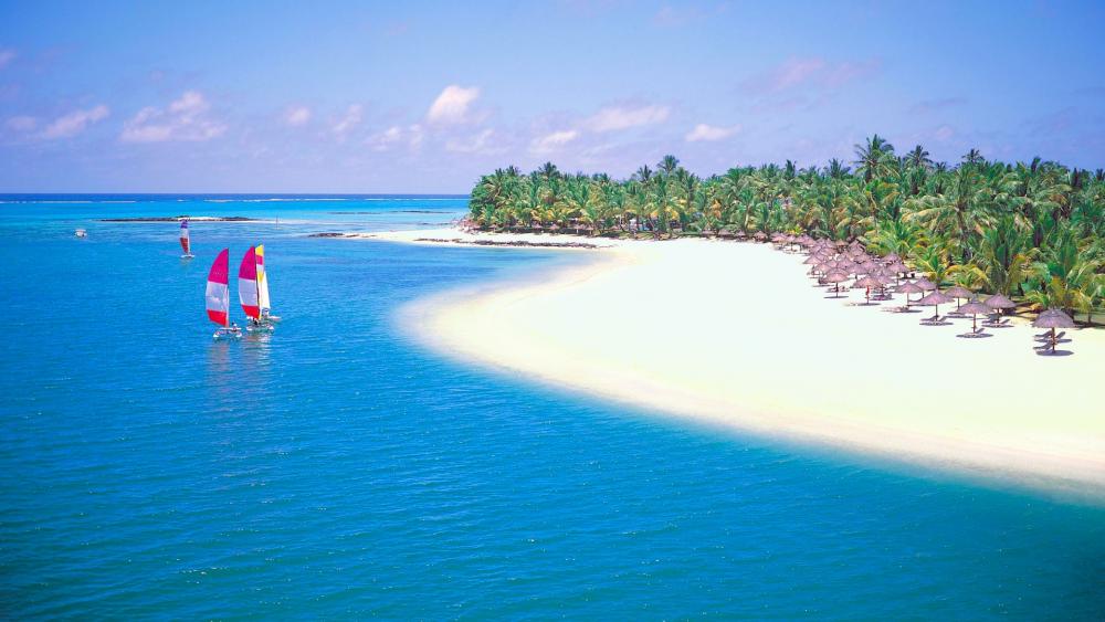 Tropical Paradise by the Sea wallpaper