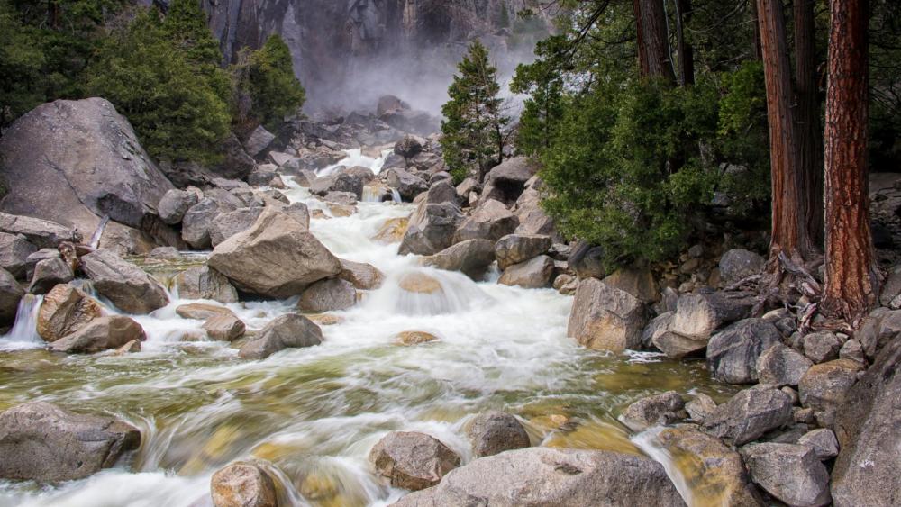 Tranquil Mountain Stream in Nature's Embrace wallpaper
