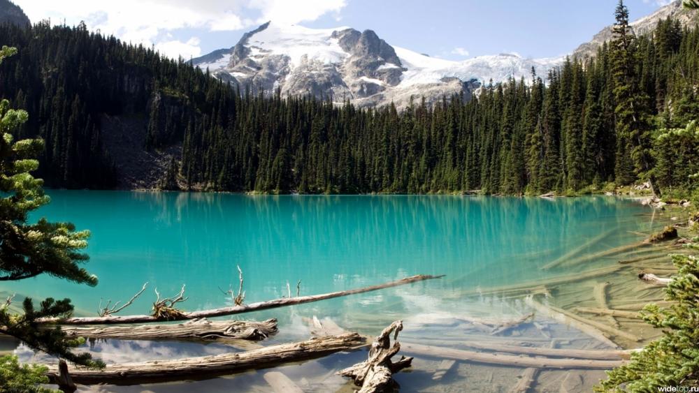 Serene Mountain Lake Reflections and Vibrant Forest Views wallpaper