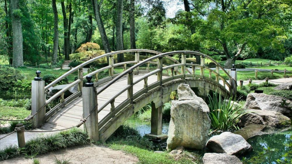 Serene Wooden Bridge in a Lush Garden wallpaper