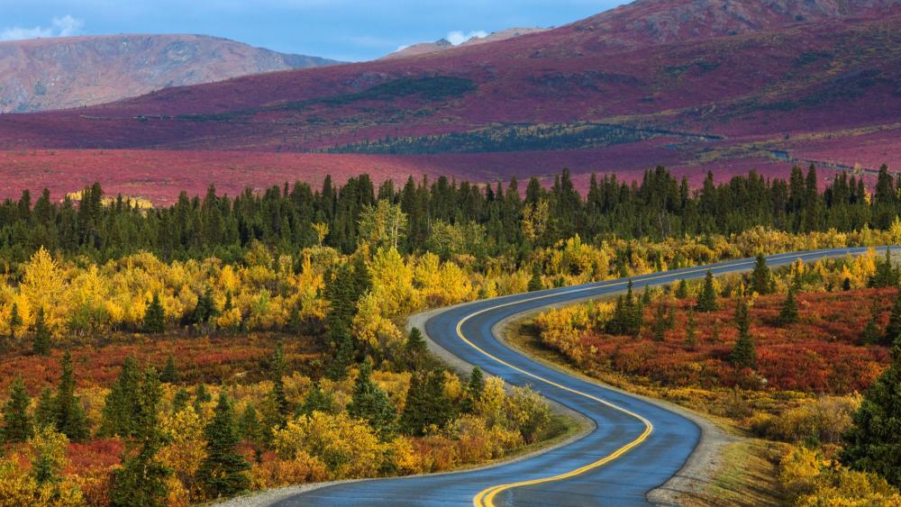 Winding Road through Vibrant Autumn Landscape wallpaper
