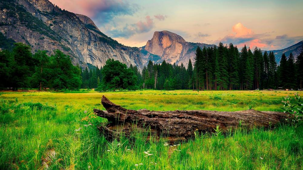 Majestic Mountains and Serene Meadows Await You wallpaper