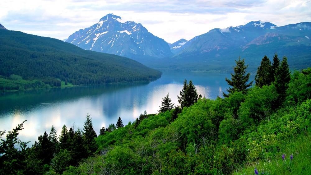 Wallpaper from nature category