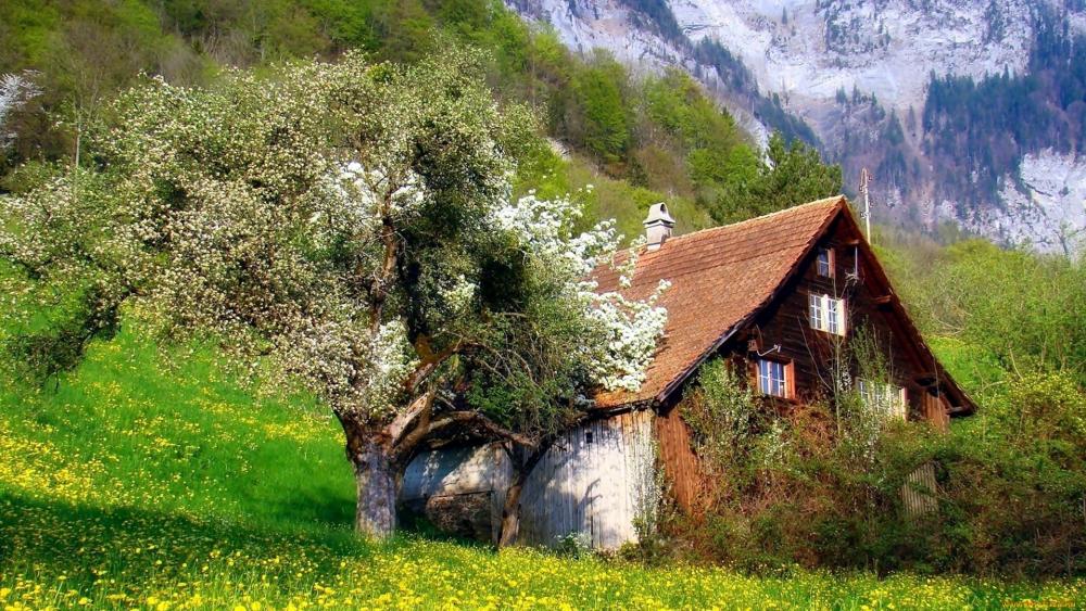 Serenity of Nature in a Quaint Cottage Landscape wallpaper