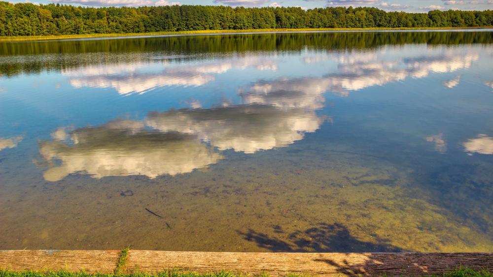 Tranquil Lake Reflections of Nature's Beauty wallpaper