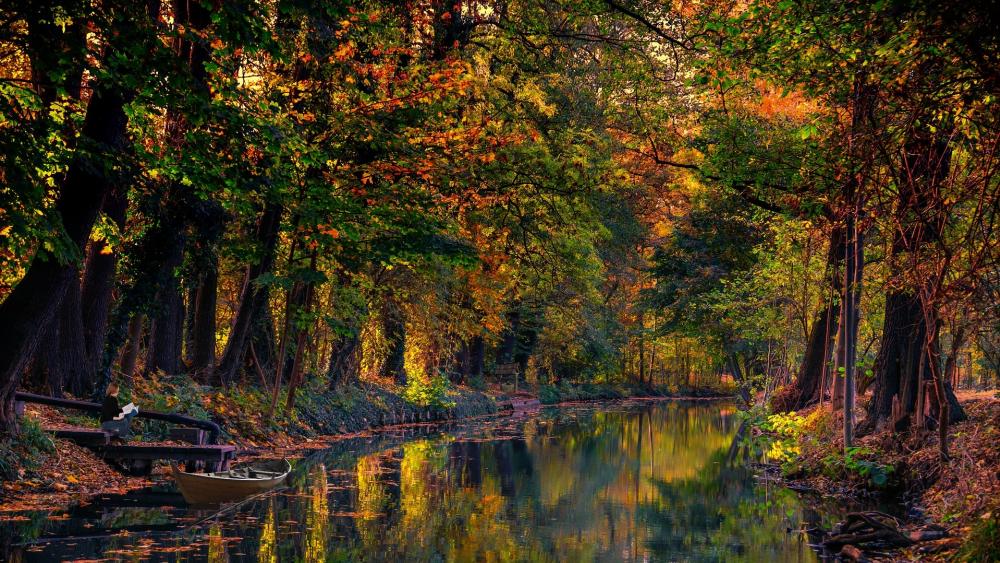 Autumn Serenity in Nature's Embrace wallpaper