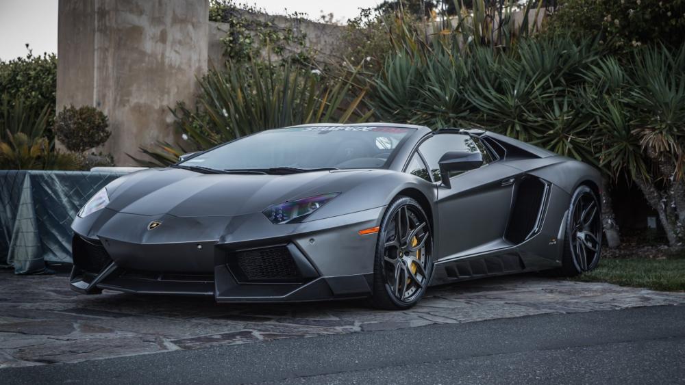 Sleek Lamborghini Aventador in Luxurious Surroundings wallpaper