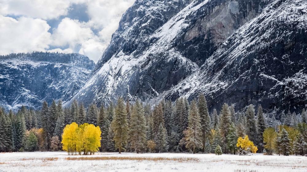 Winter's Majesty in the Mountain Valley wallpaper