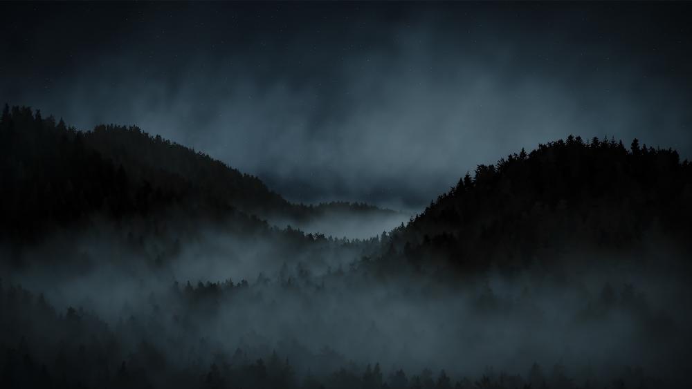 misty forest wallpaper