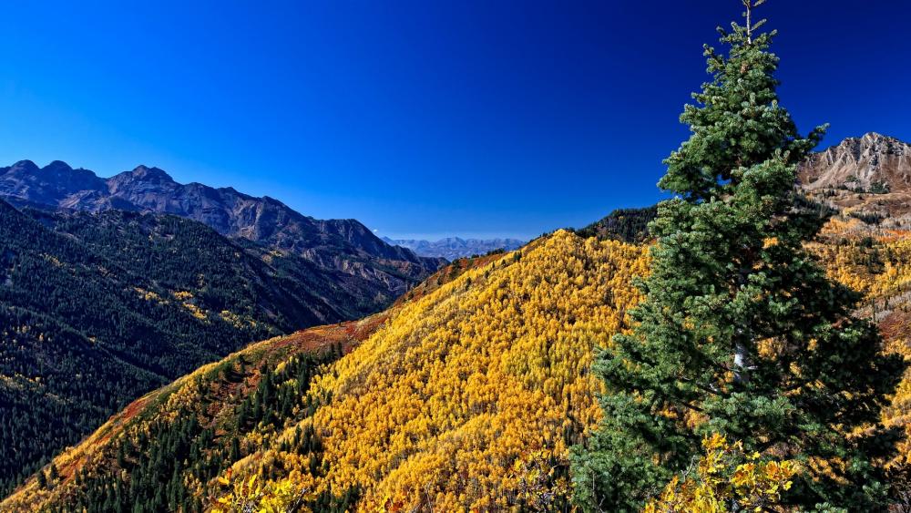 Vibrant Autumn Landscape in Nature's Embrace wallpaper