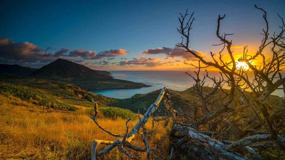 Serene Sunset Over Pristine Coastline wallpaper