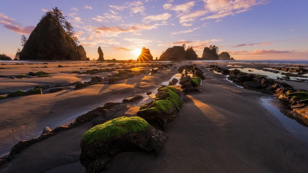Golden Sunset Over Rocky Shoreline wallpaper