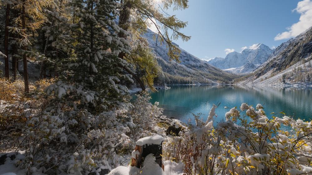 Serene Winter Reflections in Nature's Embrace wallpaper