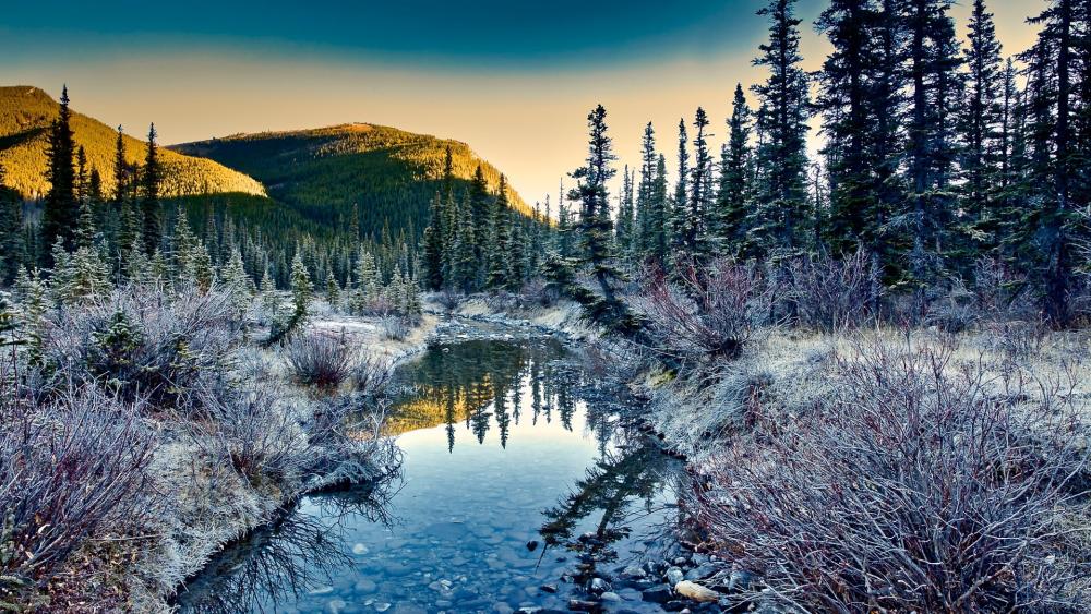Wallpaper from nature category