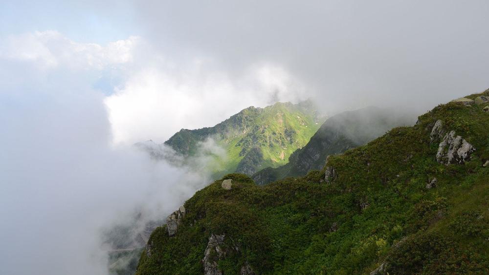 Misty Mountain Landscape with Lush Greenery wallpaper