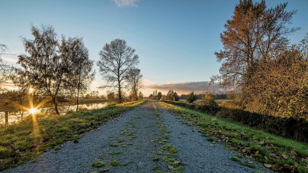 Serene Pathway Through Autumn Landscapes wallpaper