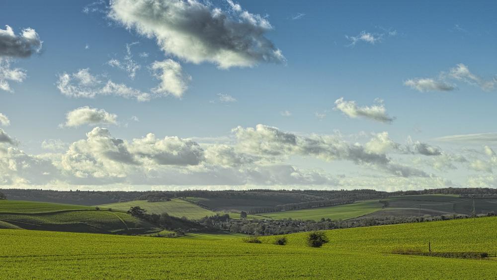 Serene Green Fields Under a Cloudy Sky wallpaper
