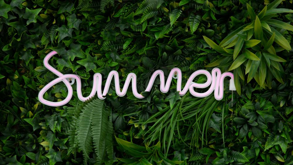 Vibrant Summer Greenscape wallpaper