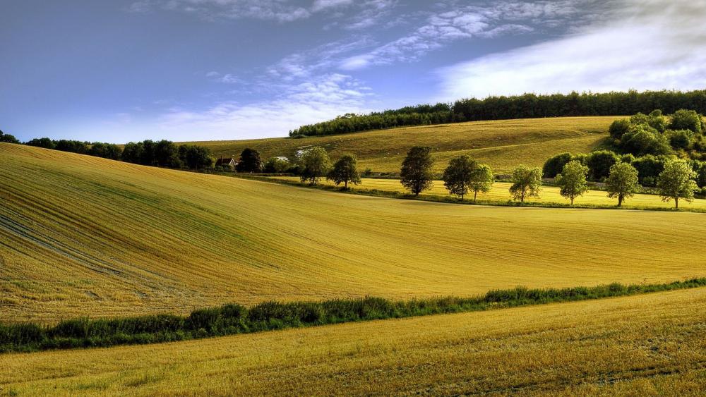 Wallpaper from nature category