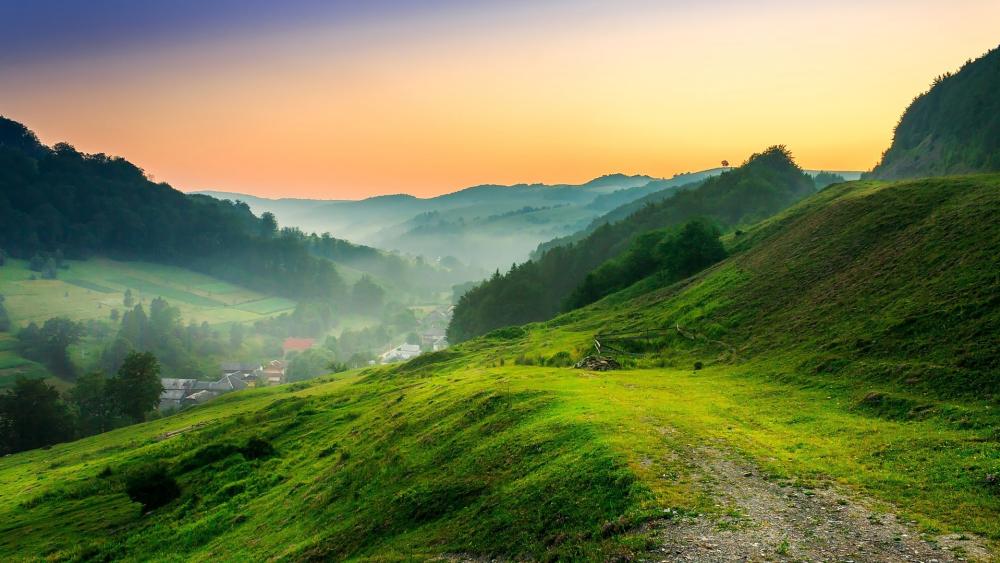 Serene Hillside at Dawn wallpaper