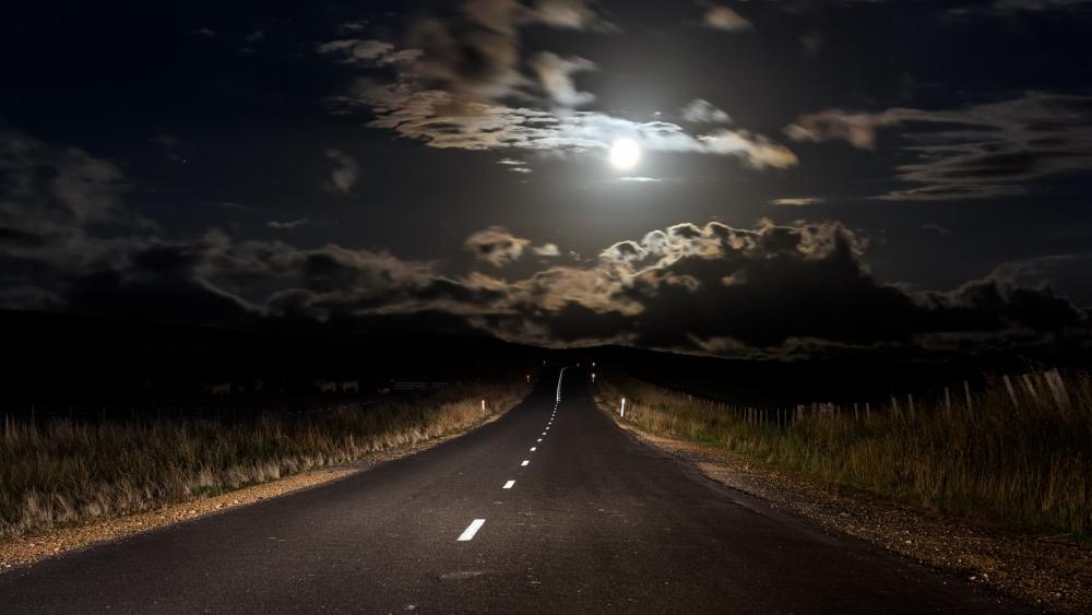 Luminous Night Journey Under the Moonlight wallpaper
