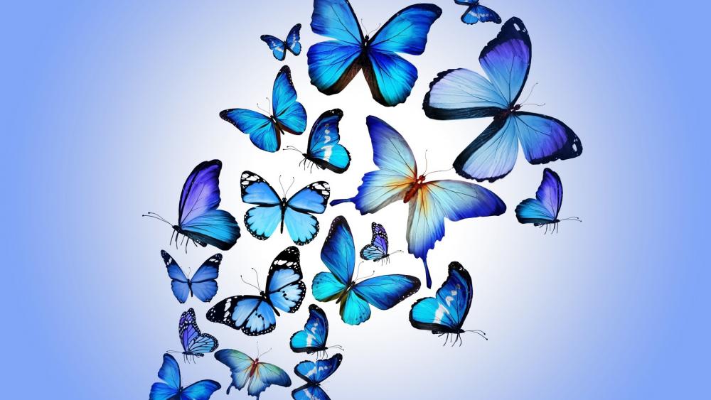 Blue Butterfly Dreamscape wallpaper