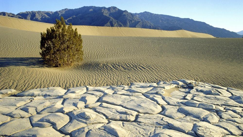 Desert Serenity and Solitude Landscape wallpaper