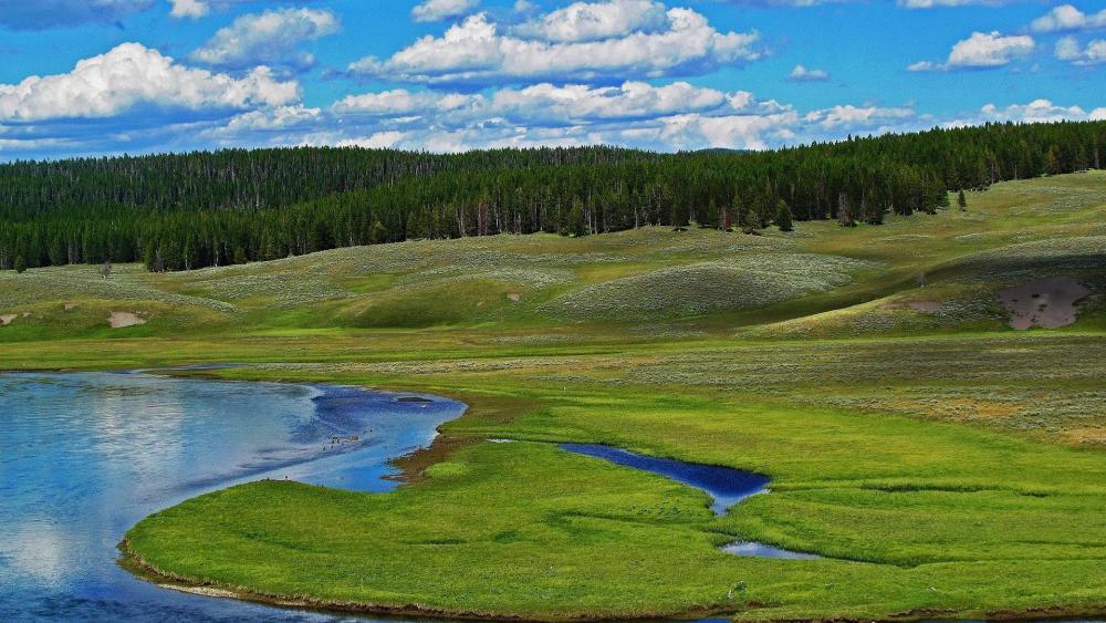 Serene Landscape of Lush Green Fields and Tranquil Waters wallpaper