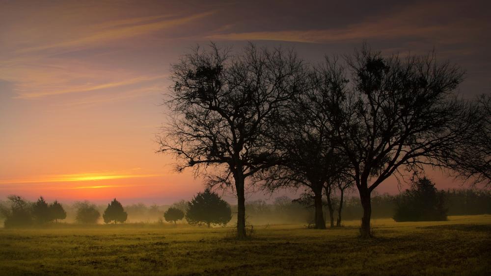 Serene Sunset Over Misty Fields wallpaper