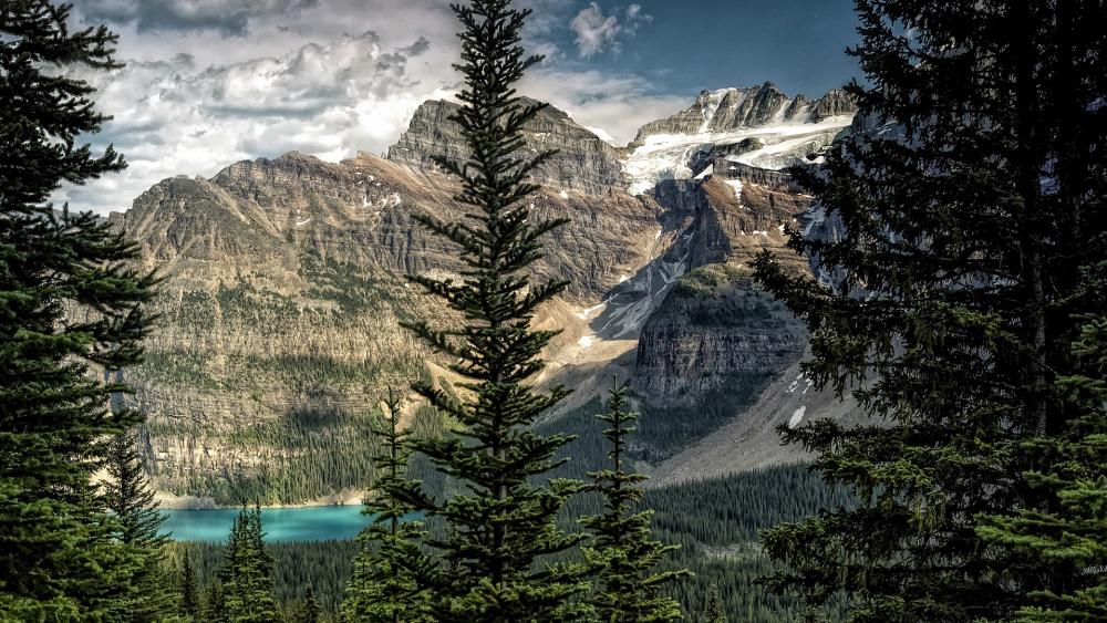 Wallpaper from nature category