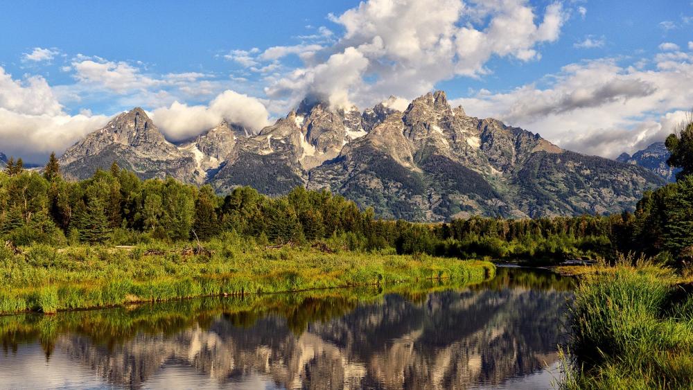 Wallpaper from nature category
