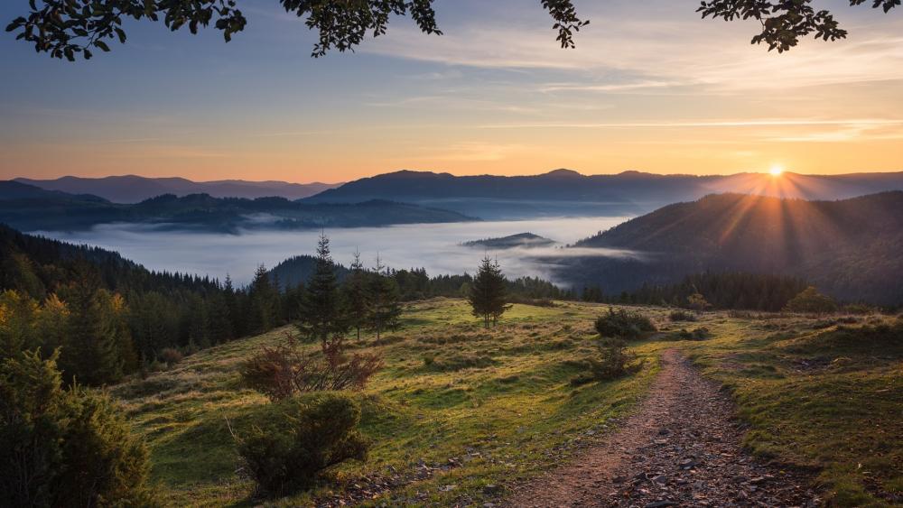 Serene Sunrise Over Misty Mountains wallpaper