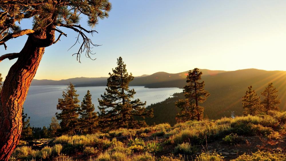 Tranquil Sunset Over Serene Lake Views wallpaper