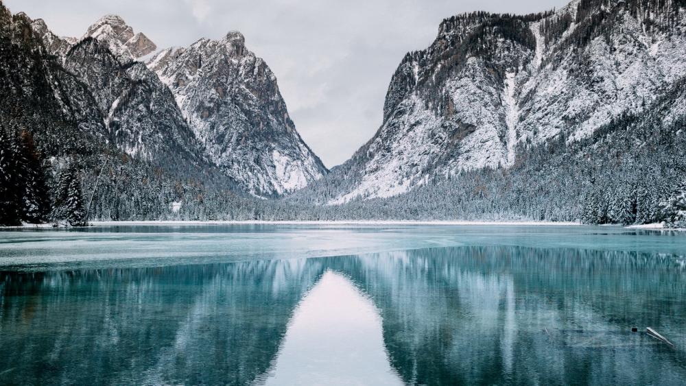 Wallpaper from nature category