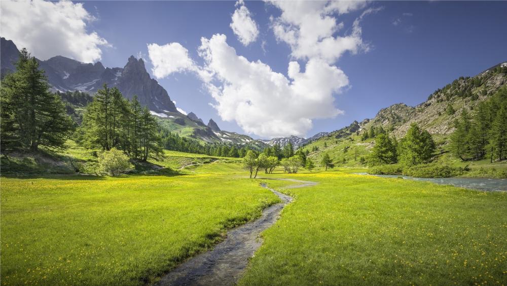 Wallpaper from nature category