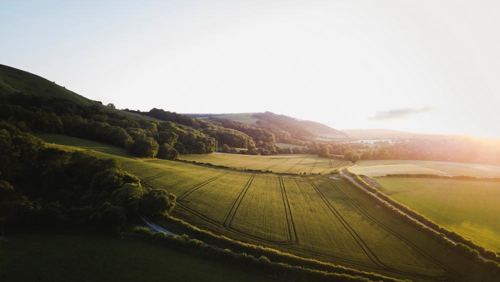 Serene Rolling Hills at Sunset wallpaper