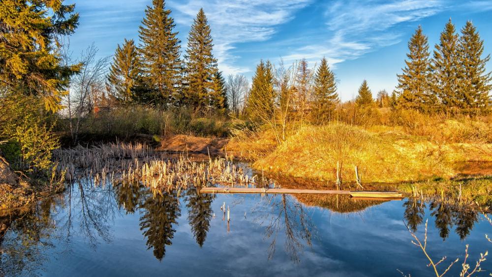 Serene Reflections of Nature's Beauty wallpaper