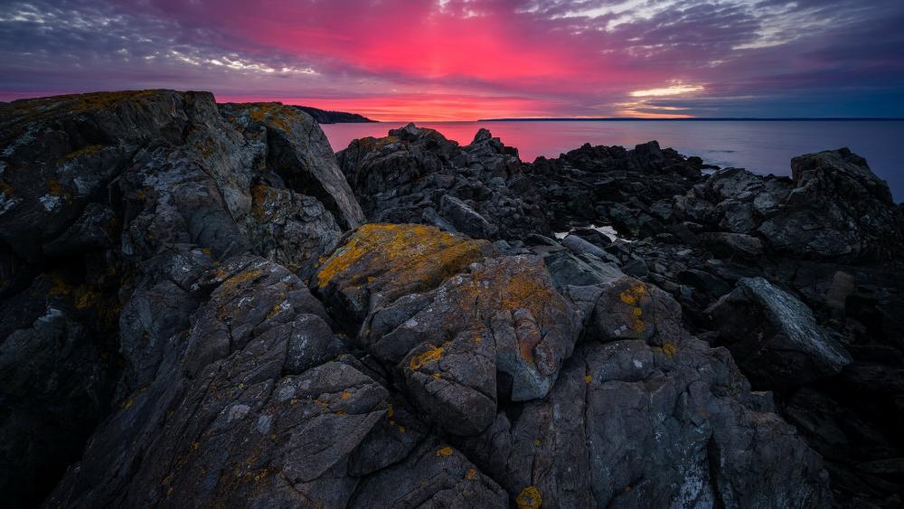 Wallpaper from nature category