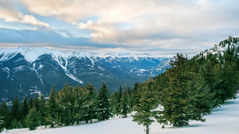 Majestic Mountain Landscape with Snowy Peaks and Evergreen Trees wallpaper