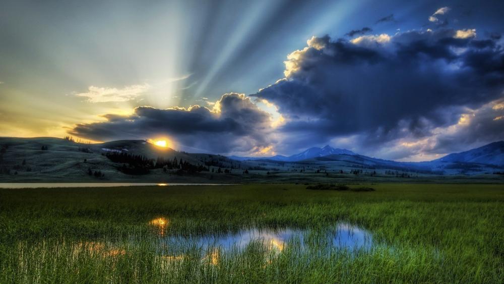 Serene Sunset Over Tranquil Meadow Scene wallpaper