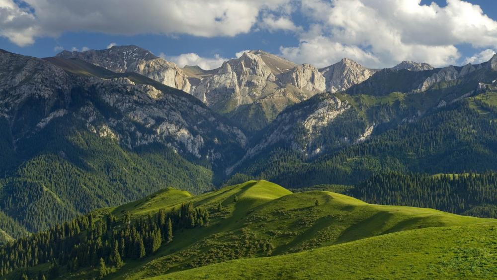 Majestic Mountains and Lush Green Hills wallpaper