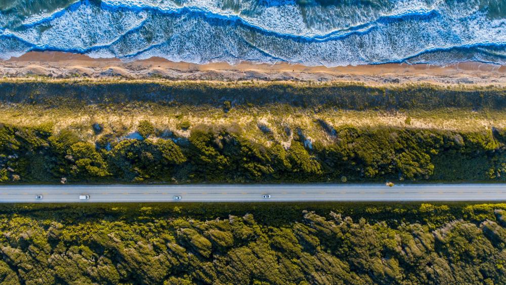 Wallpaper from nature category