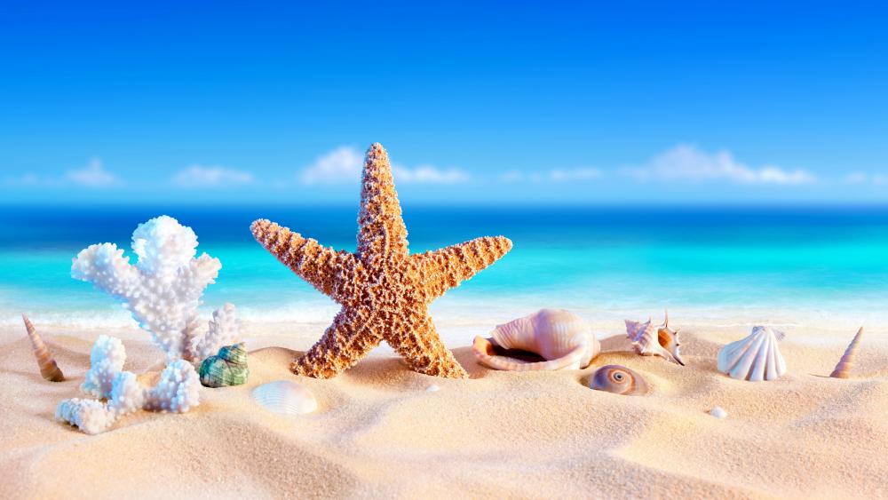 Summer Seaside Serenity with Starfish wallpaper